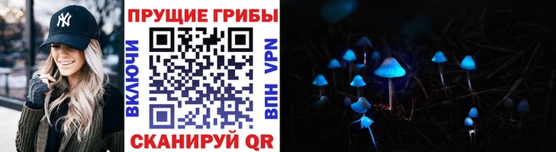 Псилоцибиновые грибы Cubensis  наркотики  Снежногорск 